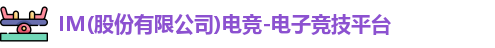 im电竞官网